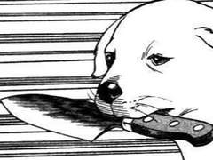 자살하세요, 김호정 씨!