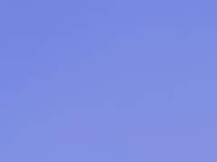 그럼에도 구름은 피어난다.