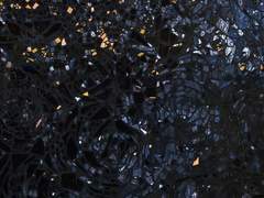 웨스턴 스파게티 레잇 나잇 쇼