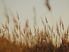 이제 우리 다시는 사랑으로 세상에*