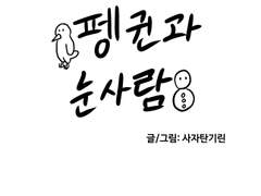 펭귄과 눈사람