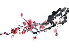 花魁 화괴 - 샘플