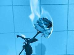 단 하영 / 탱커 / B