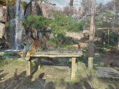 230105. 말하는 듯 자연스럽게 하고싶다.