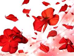 제라늄 꽃과 흩날리는 꽃잎(클립스튜디오 브러쉬, PNG)