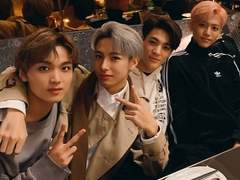 세상은 고양이로부터 시작합니다 talk