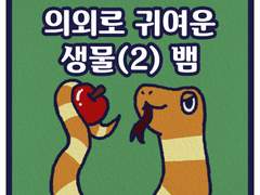 의외로 귀여운 생물(2) 뱀