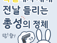 독일에서 새해 첫날 들리는 총성의 정체