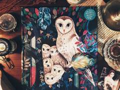 [독서기록] 행복한 숲속의 아기 동물들