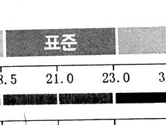 24살, BMI가 40이었던 나