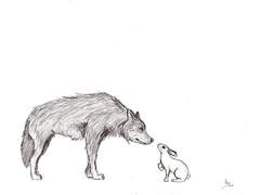 [EXO/고르기] 늑대네 하숙집의 유일한 토끼 한 마리