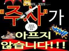 김원장 동물병원