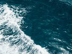 피쿼드 트리오 AU 단문