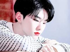 [세븐틴빙의글/학교물/호우] 고백+19(1)