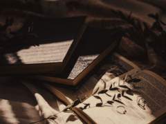 [필독] Starry Garden