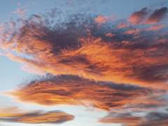 [야힐사] 당신의 바람이 이루어진다면