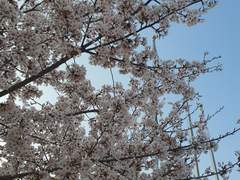 내 생애 첫 짝사랑 上