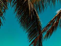 이런 남자 만나면 신세 조진다