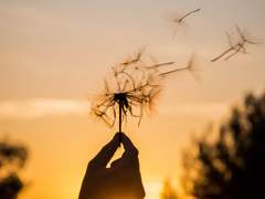 죽은 이의 기적