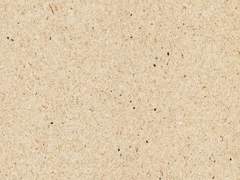 난기류 소년과 고스로리 양