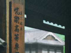 사시스랑 2006년 같이 보낸 기억 생기는 드림 上