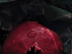 御榴玉梅어류옥매=轉전