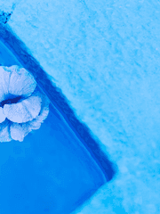 가비지타임 드림