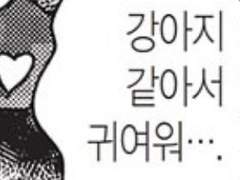 개 같 은 하드 남자친구