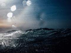 필연적 조연의 논증