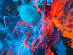 제목은 아직 없습니다