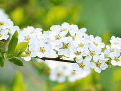 외로움을 알고 있는 너에게