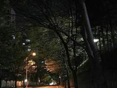 몬남매: 든든한 우리 오빠