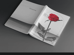 [분양가능] 162. 開花(Flowering)