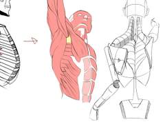 2024년 1월 6일 (토) <해부학>