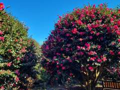 내 홈마: 제주 여행 3