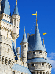 헬루바 + 해즈빈 드림