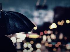 빗 속에 파뭍힌,