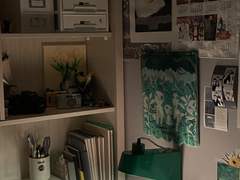 [0107] 이번주 일기