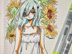 이나이레 20231025~20240107