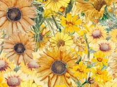 [민원] 지금, 만나러 갑니다.