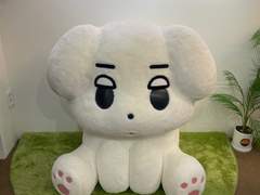 쩡느님 탄신일 생카 사진 공유