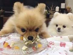 믿고 따라하는 중학교 내신 공부법