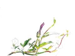 (성폭력 피해로부터의) 회복