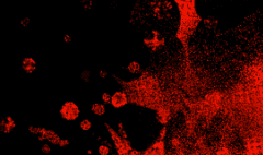 0107 전투 대화 기록