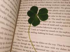 To. 과거의 나에게