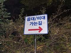 나폴리탄 괴담 - (4) 음대 / 미대를 찾아가라