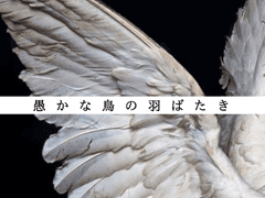 いとざき そうた