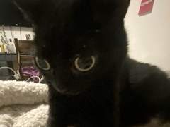 말 걸지마세요 talk