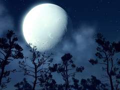 [아스더지] Flash point