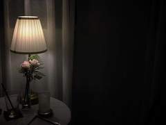 크리스티나 신시아